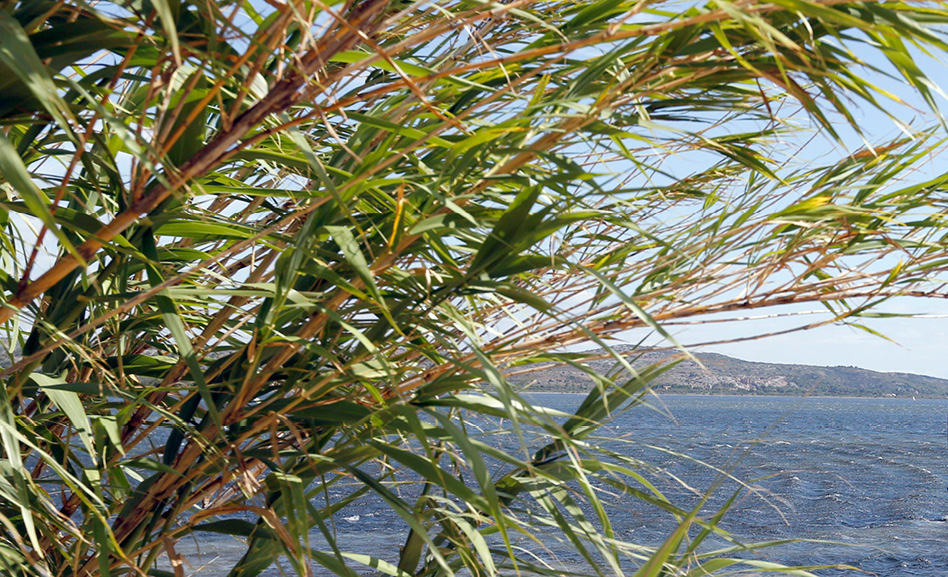 Littoral de l'Aude